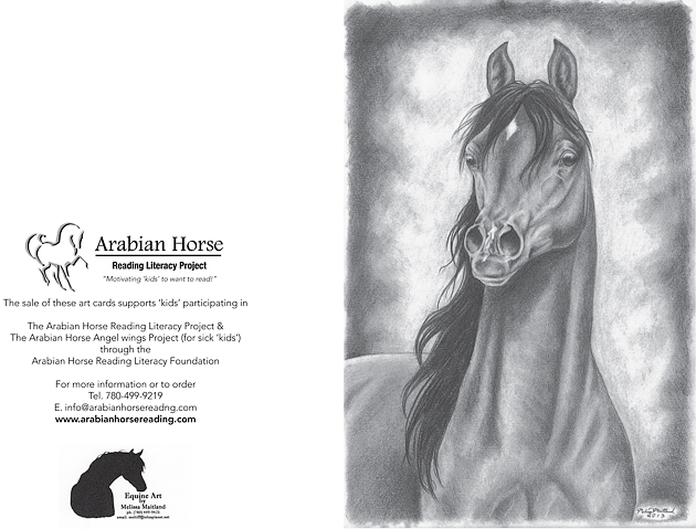 Arabian Horse Reading Literacy Project